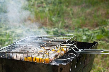 sebze ve tatlı biber ızgara Ocak ızgarası üzerinde hazırlanan balık