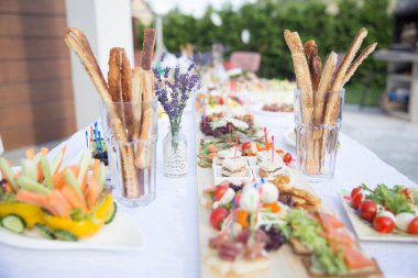 Chees iştah açıcı meze beyaz bir masada açık havada