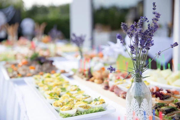 Beyaz masa bir iştah açıcı meze yumurta dolması, vegetabl üzerinde