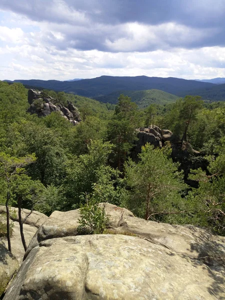 Sık çam ormanı ve mou uçuruma üstten görüntülemek