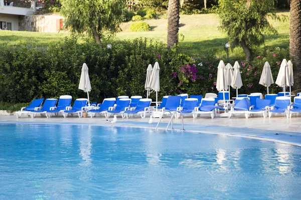 martı sandalye satırları görev ile havuz elini kolunu sallaya dönüyor