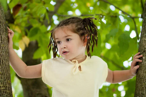 En rolig fyra-åriga tjej med mörka ögon och en fläta frisyr en — Stockfoto