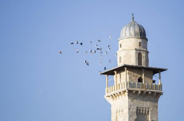 bir sürü ışık ile bir caminin kubbe üzerinde çember güvercin