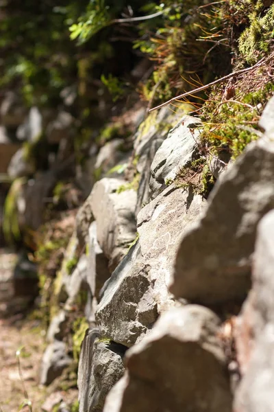 이끼, 보호로 자란 돌 벽의 일부는 — 스톡 사진