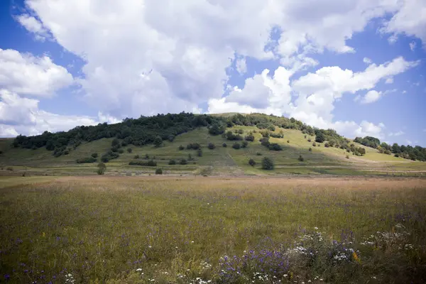  kırsal manzara alanlarla yeşil çim ile büyümüş bir