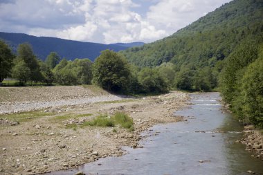 ormanlık Dağları ile çevrili bir dağ nehir, nehir yatağı