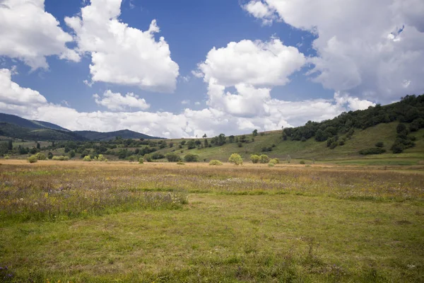 Countryside krajobraz z łąki, porośnięte zielona trawa — Zdjęcie stockowe
