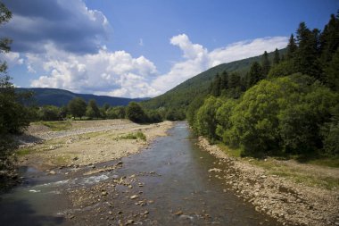 ormanlık mounta ile çevrili bir dağ nehri sığ bir dere