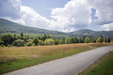 Meadows tarafından çevrili köy yolunda kır çiçekleri ile kaplı ve 
