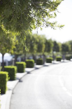 Karayolu ile güzel kesilmiş yeşil bulanık görüntü ben