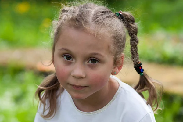 一个美丽的 富有表现力的五岁女孩的情感与巨大的绿色的眼睛和一个发型 在模糊的背景下的公园绿地的滑稽辫子的形式 — 图库照片