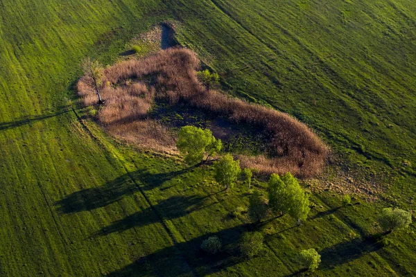 Рассвете Воздушном Шаре Над Зелеными Лугами Полями Украинских Равнин — стоковое фото