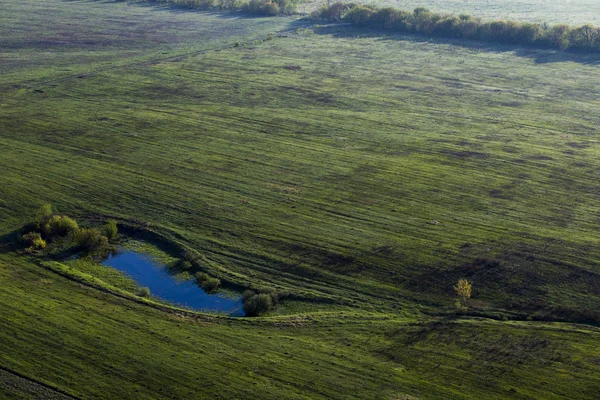 All Alba Volando Mongolfiera Sui Prati Verdi Sui Campi Delle — Foto Stock