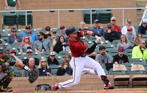 Arizona Diamondbacks Salt River Fields Scottsdale Arizona Usa Febbraio 2020 — Foto Stock