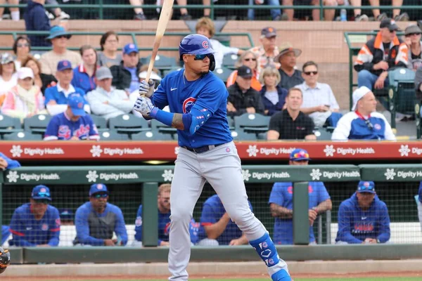 Interbase Javier Baez Chicago Cubs Allo Scottsdale Stadium Scottsdale Arizona — Foto Stock