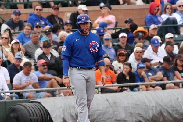 Chicago Cubs Allo Scottsdale Stadium Scottsdale Usa Marzo 2020 — Foto Stock