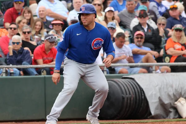 Chicago Cubs Allo Scottsdale Stadium Scottsdale Usa Marzo 2020 — Foto Stock