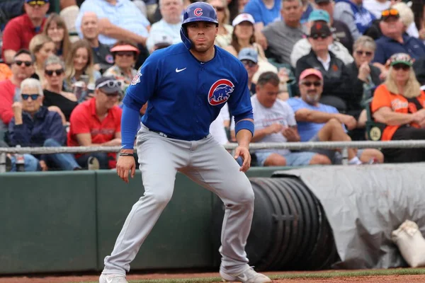 Chicago Cubs Scottsdale Stadium Scottsdale Usa Março 2020 — Fotografia de Stock