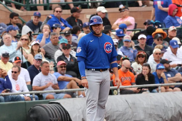 Chicago Cubs Scottsdale Stadium Scottsdale Usa March 2020 — стоковое фото