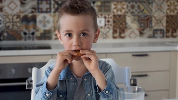 Happy little boy eats cookies with pleasure — Stock Video