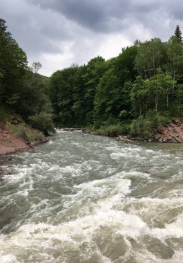 Yazın, ağaçların arasında, dağ nehri..