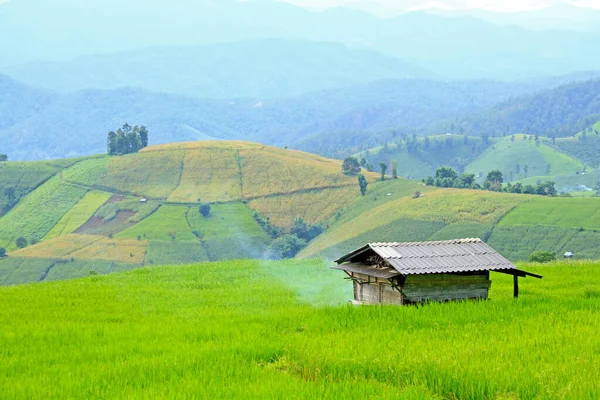 Rumah Sawah Hijau Dengan Latar Belakang Gunung Yang Tinggi Dan — Stok Foto