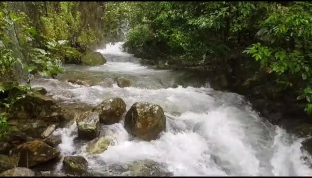 Bela Cachoeira Fluindo Com Fundo Pedra Floresta Tropical Dia Chuvoso — Vídeo de Stock