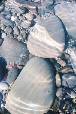 Güneşin parlaklığıyla suda çakıl taşları