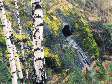 G3 ayarlı VSCO ile işlendi