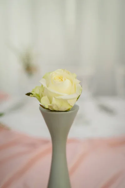 Prachtige Trouwdetails Met Alle Bijzondere Momenten Kostbare Herinneringen — Stockfoto