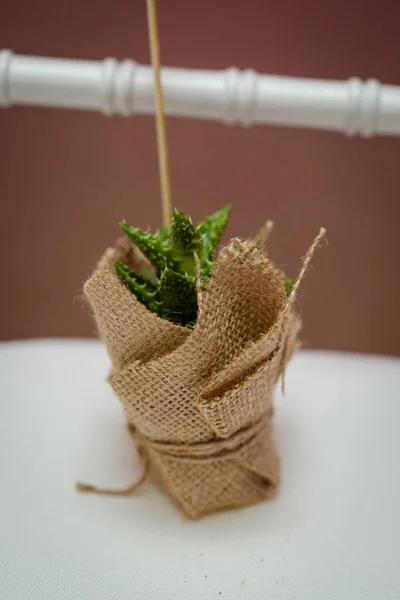 Hermosos Detalles Boda Con Todos Los Momentos Especiales Recuerdos Preciosos —  Fotos de Stock