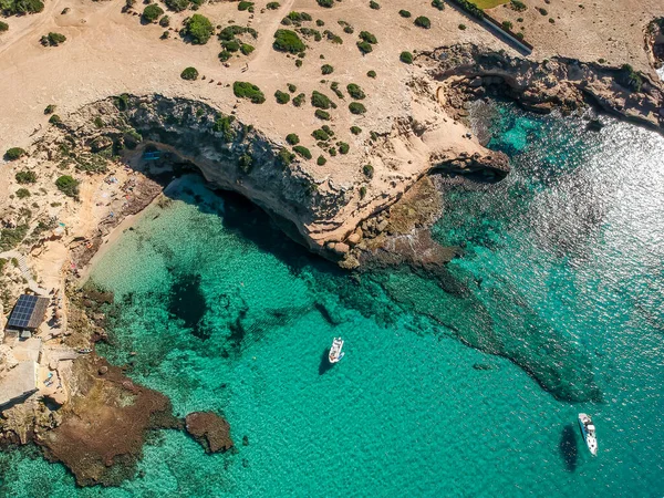 Cala Vadella Oeste Ibiza Oliehoudende Zaden — Stockfoto