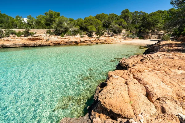 İbiza plajı. Cala Gracioneta Sahili.