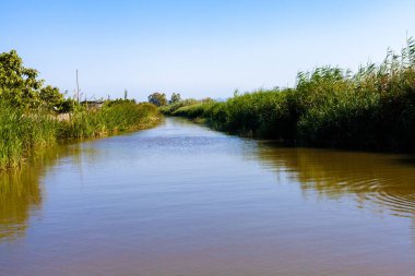 Valencia 'nın Albufera Nehri