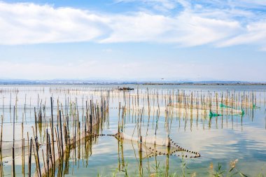 Mavi gökyüzü gezintisi ve Albufera de Valencia 'da uçan kuşlar.