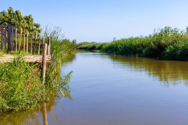 Valencia 'nın Albufera Nehri