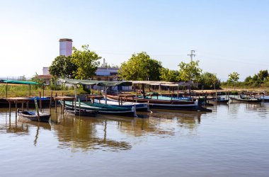 Albufera Gölü 'nde yürüyüş için limana demirlemiş ahşap kayıklar. Arka planda pirinç tarlaları ve mavi gökyüzü var..