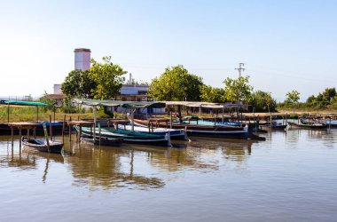 Wooden boats moored at the harbor pier for walks on Lake Albufera with rice paddies in the background and blue sky. clipart