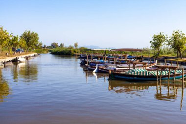Albufera Gölü 'nde yürüyüş için limana demirlemiş ahşap kayıklar. Arka planda pirinç tarlaları ve mavi gökyüzü var..