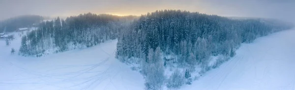 Εναέρια Πανοραμική Θέα Του Χειμώνα Πευκοδάσος Υποαρκτικό Τοπίο Κατεψυγμένα Ομιχλώδη — Φωτογραφία Αρχείου