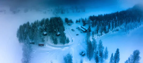 Grano Švédsko 2020 Vzdušný Výhled Ptáky Hnízdí Vysoko Koruně Stromů — Stock fotografie