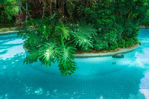 Swimming pool in the garden with with green tropical trees. Bali, Indonesia
