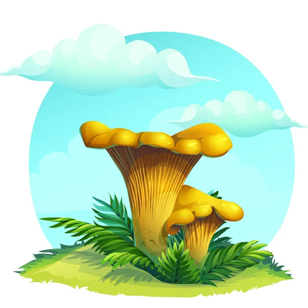Funghi finferli sull'erba sotto il cielo con le nuvole — Vettoriale Stock