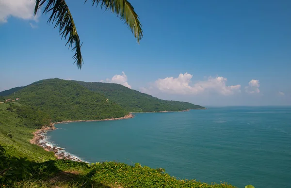 Da nang vietnam 21.10.19 tatil yeri Palmiye ağaçlarının mükemmel manzarası deniz manzarası