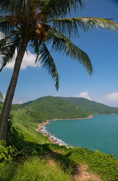 Nang Vietnam Tatil Yeri Palmiye Ağaçlarının Mükemmel Manzarası Deniz Manzarası — Stok fotoğraf