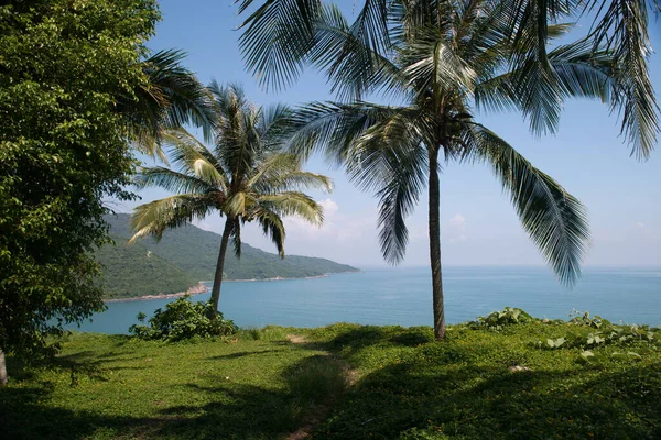 Da nang vietnam 21.10.19 tatil yeri Palmiye ağaçlarının mükemmel manzarası deniz manzarası