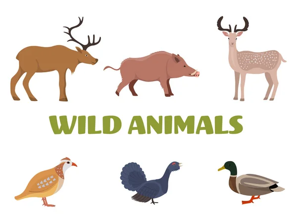 Wild forest animals with boar, deer, moose, duck, grouse and partridge. — Stock Vector