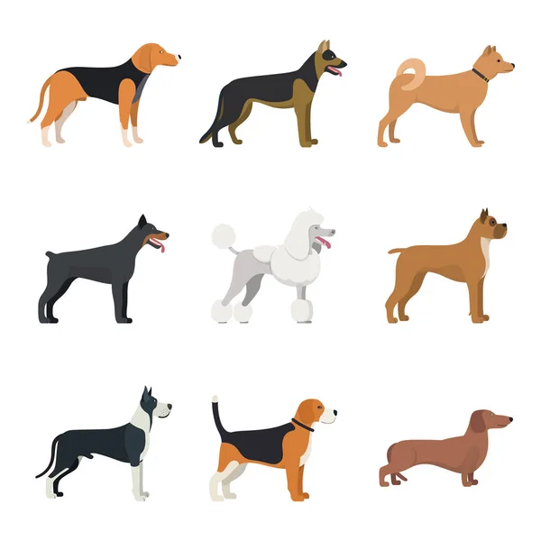 不同类型的狗品种集 — 图库矢量图片