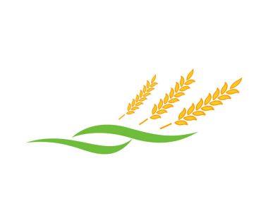 Tarım buğday Logo şablonu