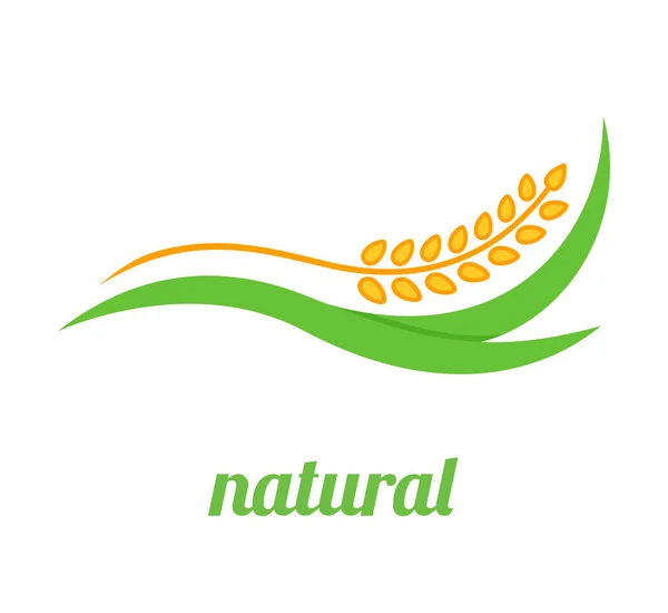 Buğday logosu şablon vektör dizaynı — Stok Vektör